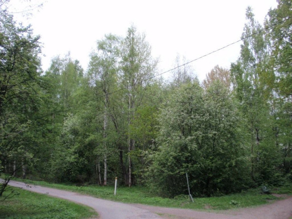 reimarlan_siirtomapuutarha01