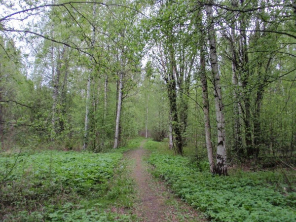 reimarlan_siirtomapuutarha02