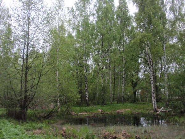 reimarlan_siirtomapuutarha03