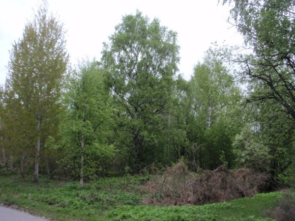 reimarlan_siirtomapuutarha04