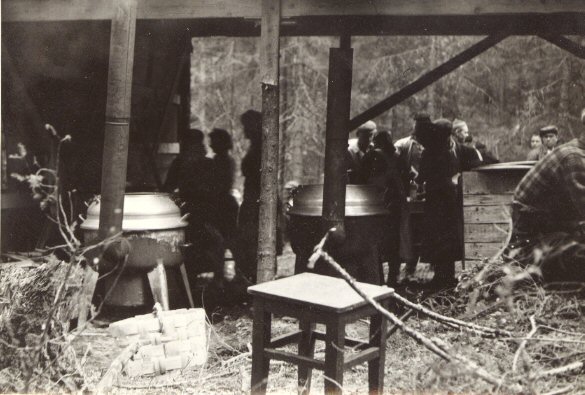 Lotat muonittamassa mottitalkoolaisia Velskolan kartanon mailla Espoossa