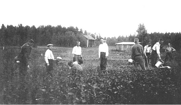 Sodanaikaisen viihdytyskiertueen ja tykkipatterien miehistöä Patterinmäellä.